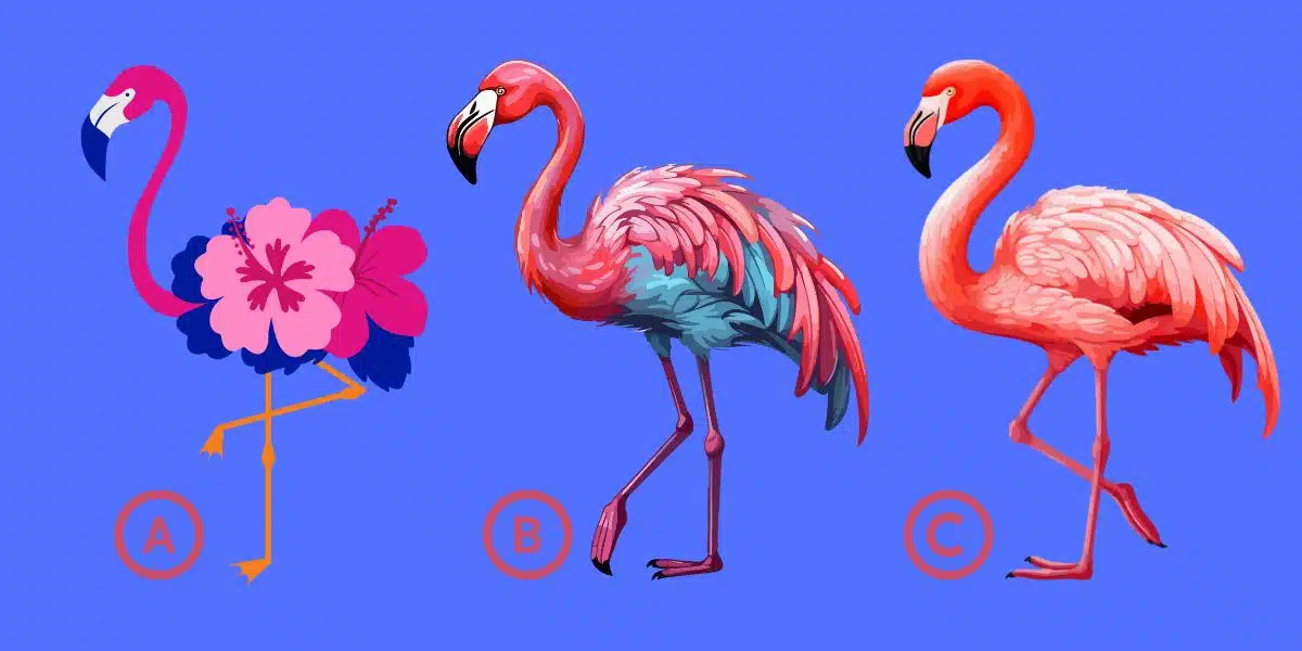 Test di personalità: scegli un fenicottero rosa e scopri quanto sei veramente sicuro di te!