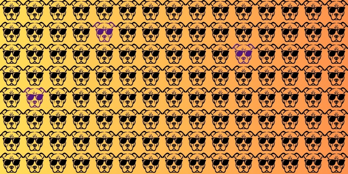 Riuscirai a trovare 3 cani diversi in soli 18 secondi? Metti alla prova la tua vista!