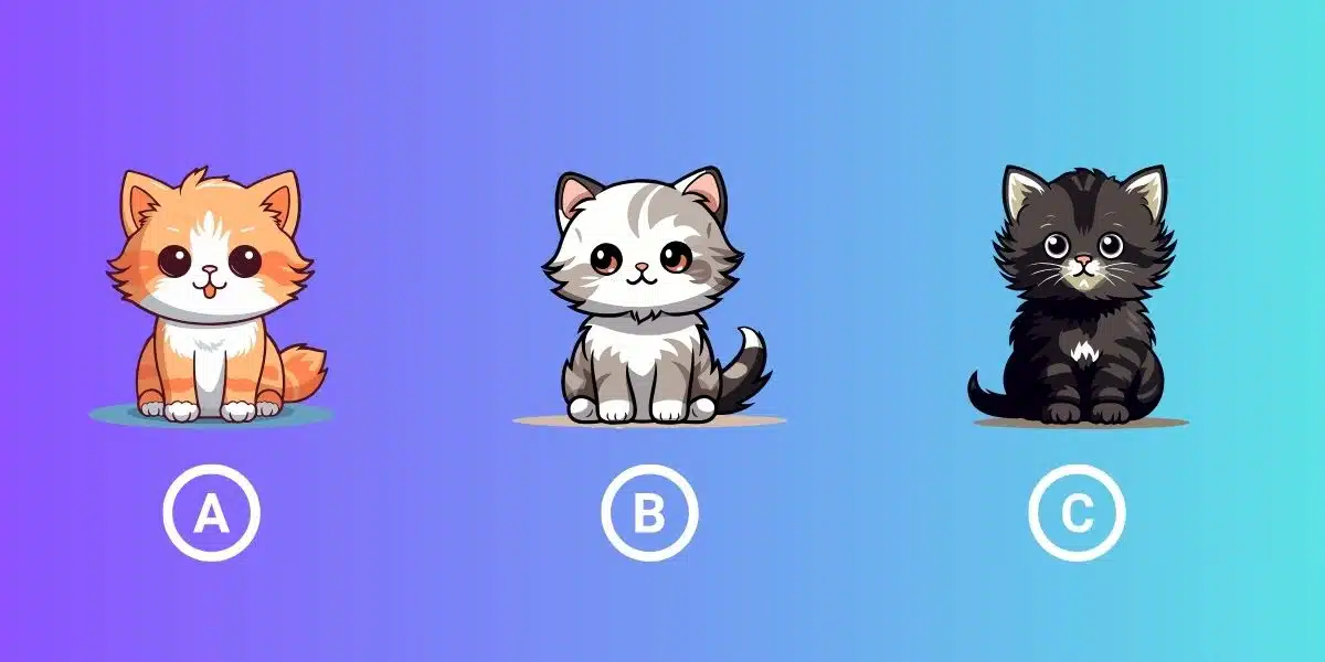 Test della personalità: Scopri qual è il tuo più grande risultato personale scegliendo uno dei 3 gattini!
