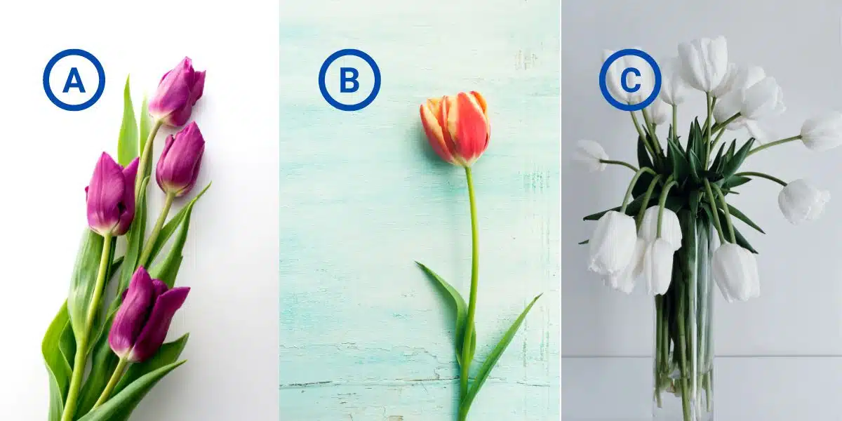 Test di personalità: quale tulipano rivela il tuo punto debole? Svela il segreto con noi!
