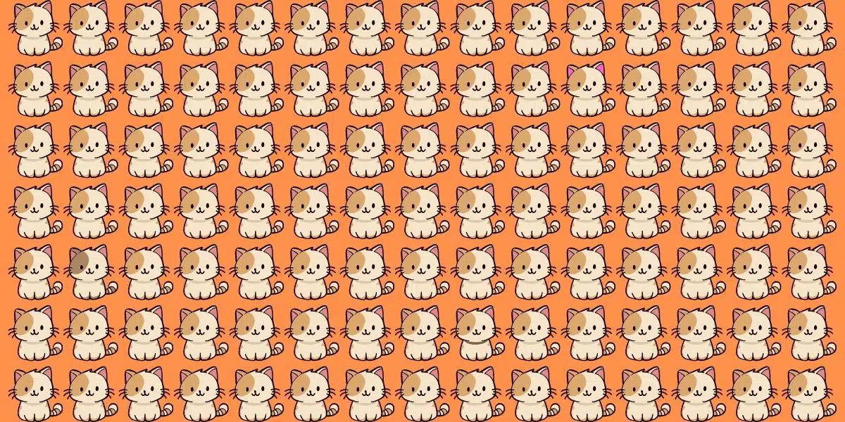 Metti alla prova i tuoi occhi: Trova 3 gatti diversi in meno di 15 secondi!