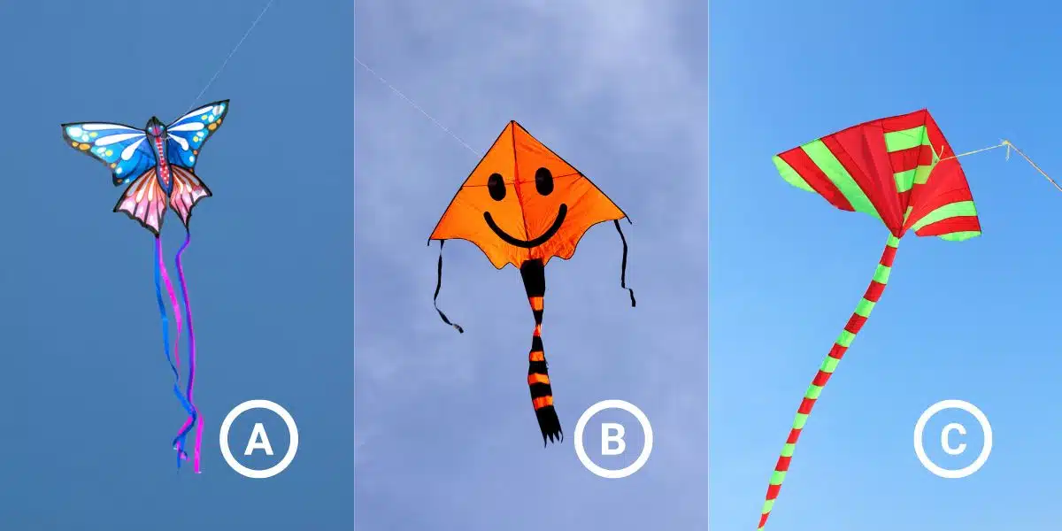Test della personalità: Scopri le qualità che apprezzi di più in un'amicizia o relazione scegliendo uno dei 3 aquiloni!