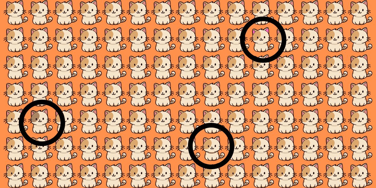 Metti alla prova i tuoi occhi: Trova 3 gatti diversi in meno di 15 secondi!