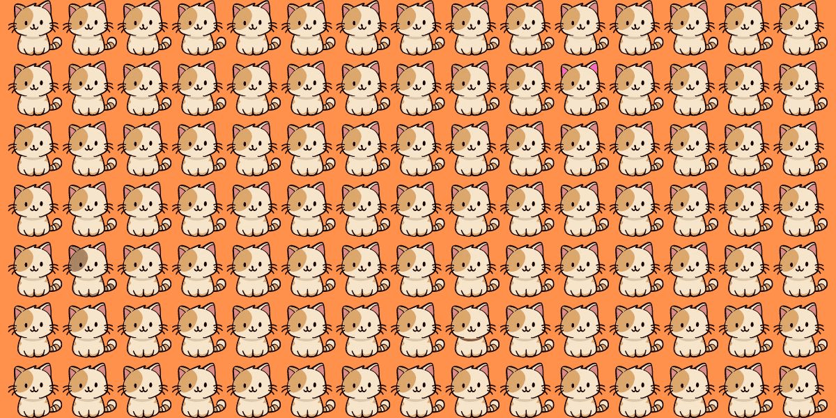 Metti alla prova i tuoi occhi: Trova 3 gatti diversi in meno di 15 secondi!